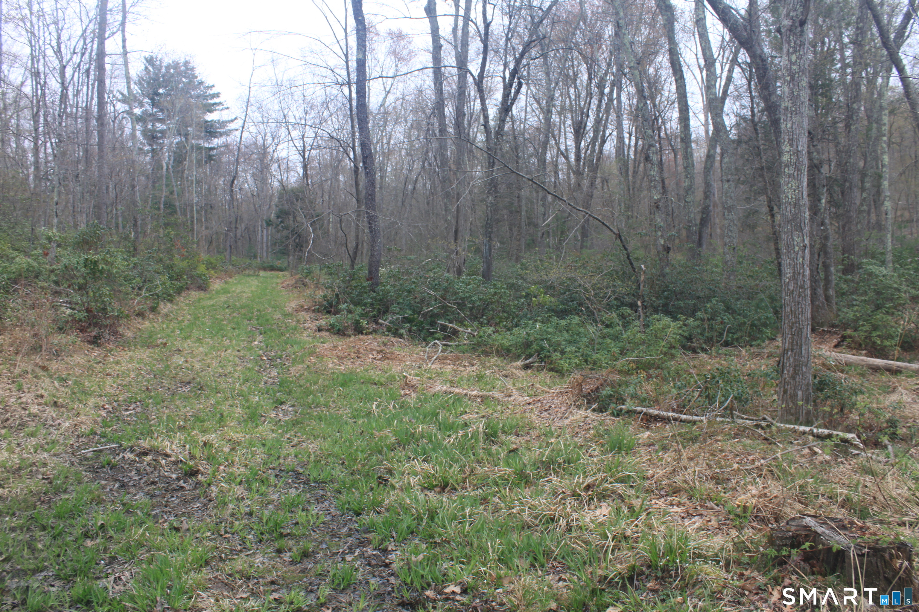 Nepaug Road Burlington, CT 06013 - Photo 15 of 17
