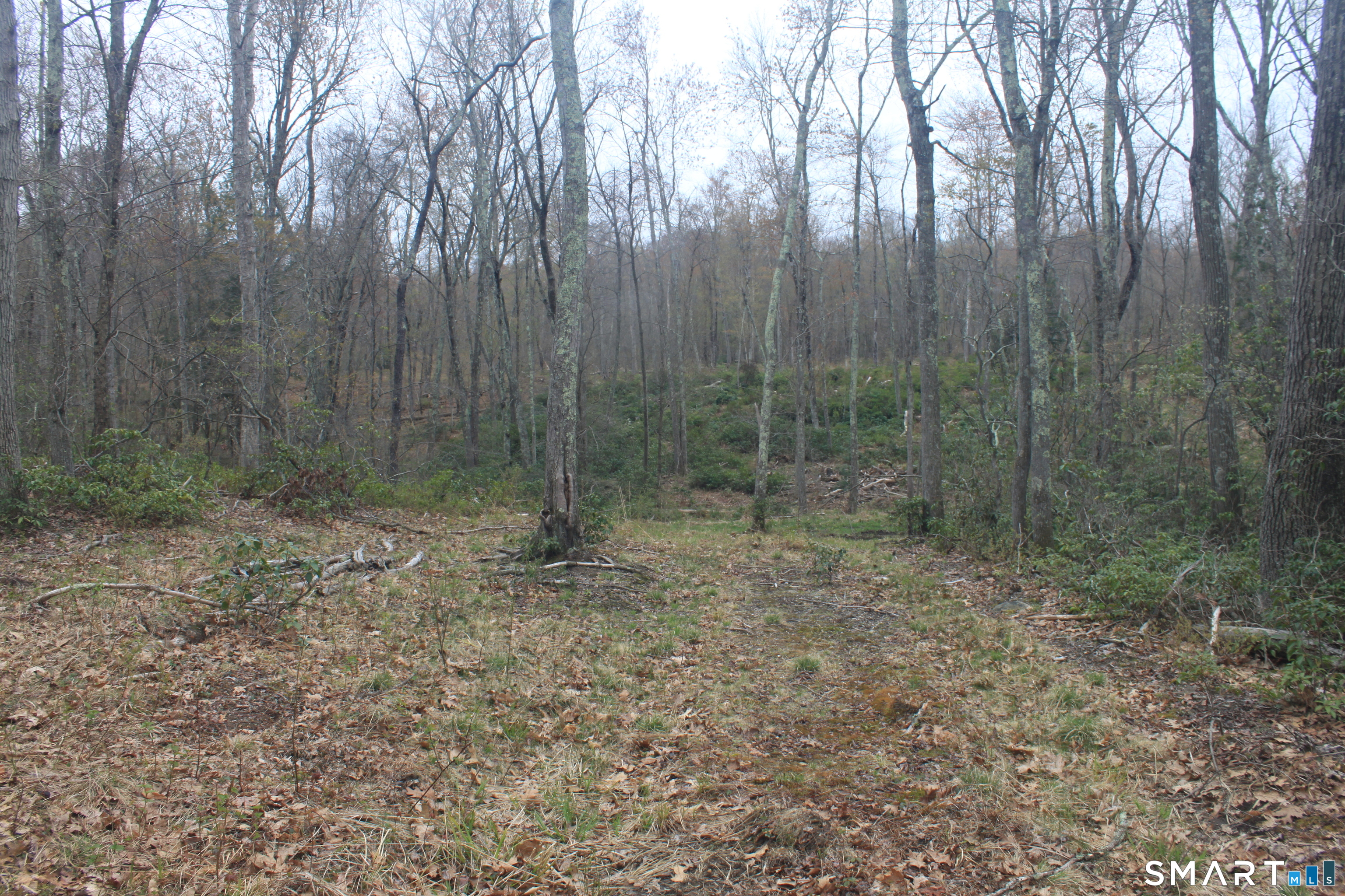Nepaug Road Burlington, CT 06013 - Photo 16 of 17