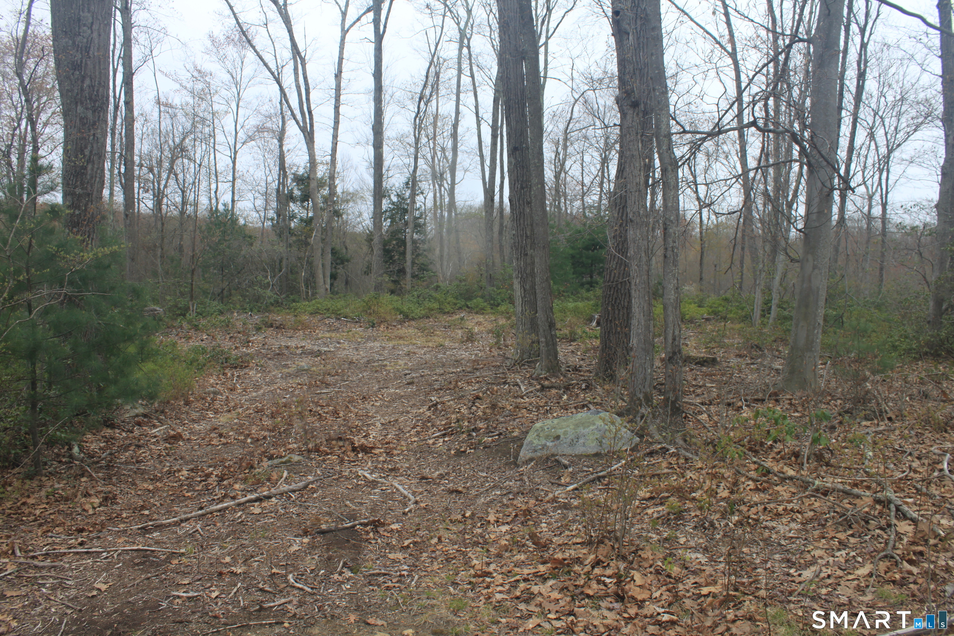 Nepaug Road Burlington, CT 06013 - Photo 17 of 17