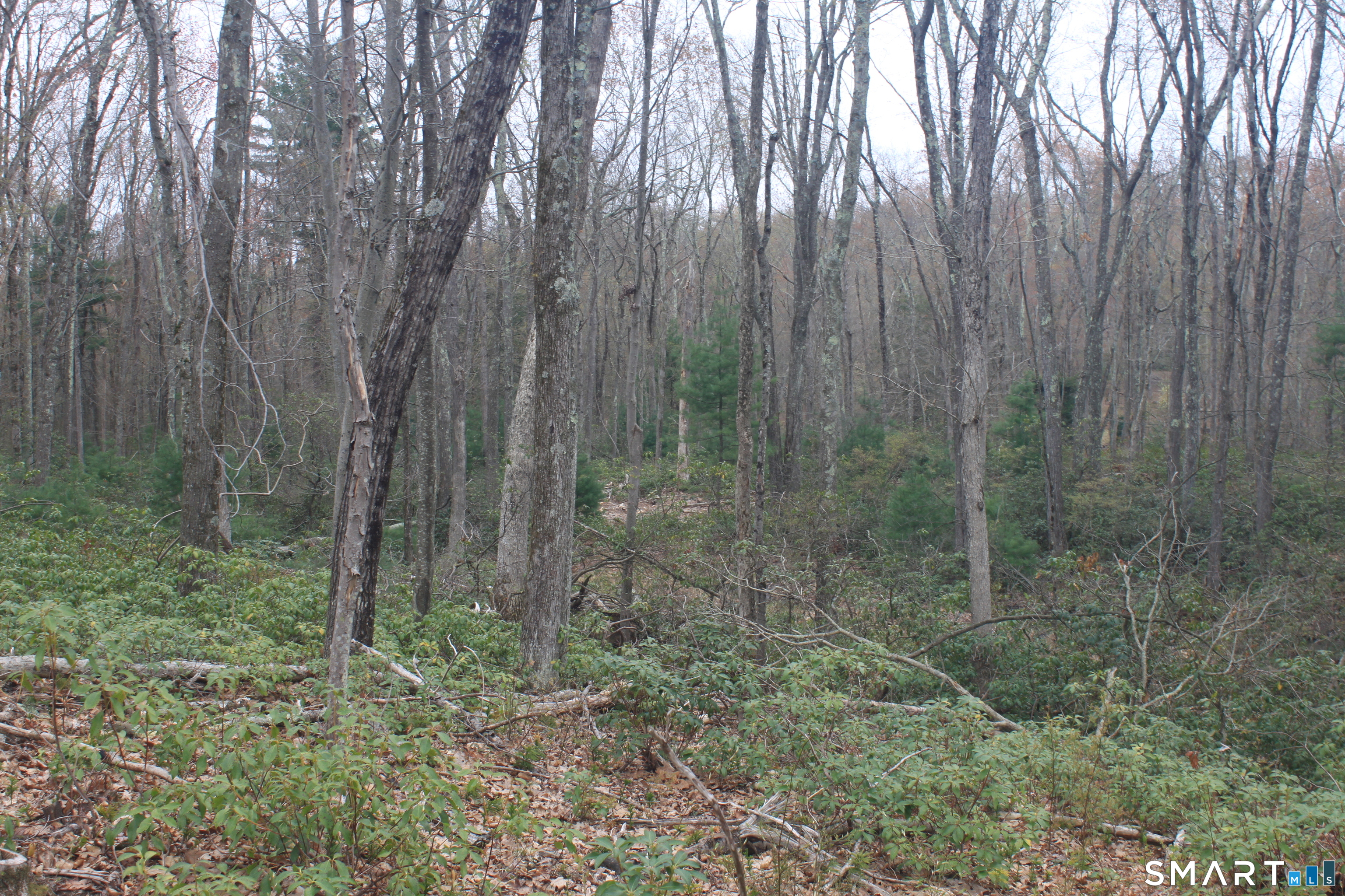 Nepaug Road Burlington, CT 06013 - Photo 4 of 17