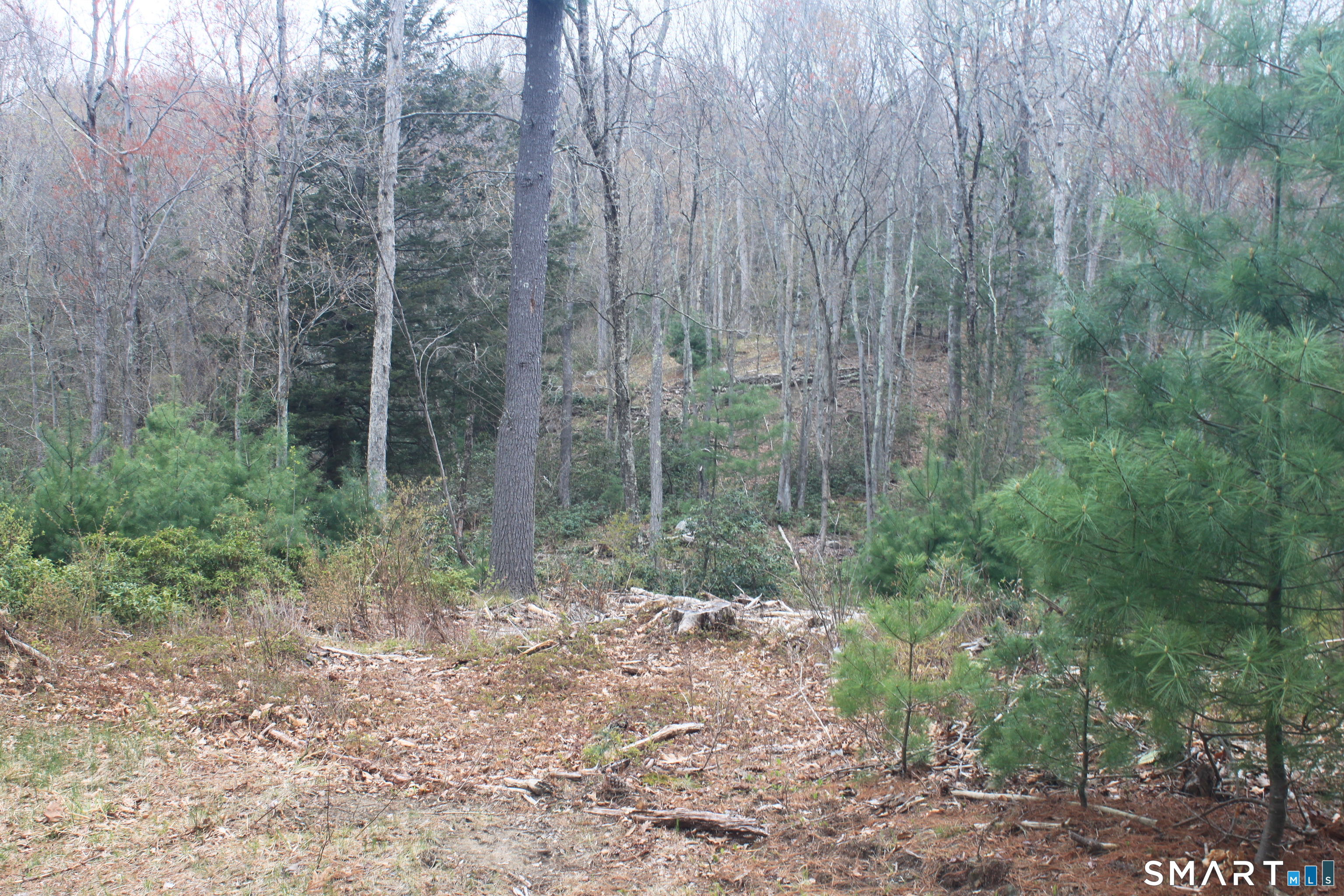 Nepaug Road Burlington, CT 06013 - Photo 5 of 17