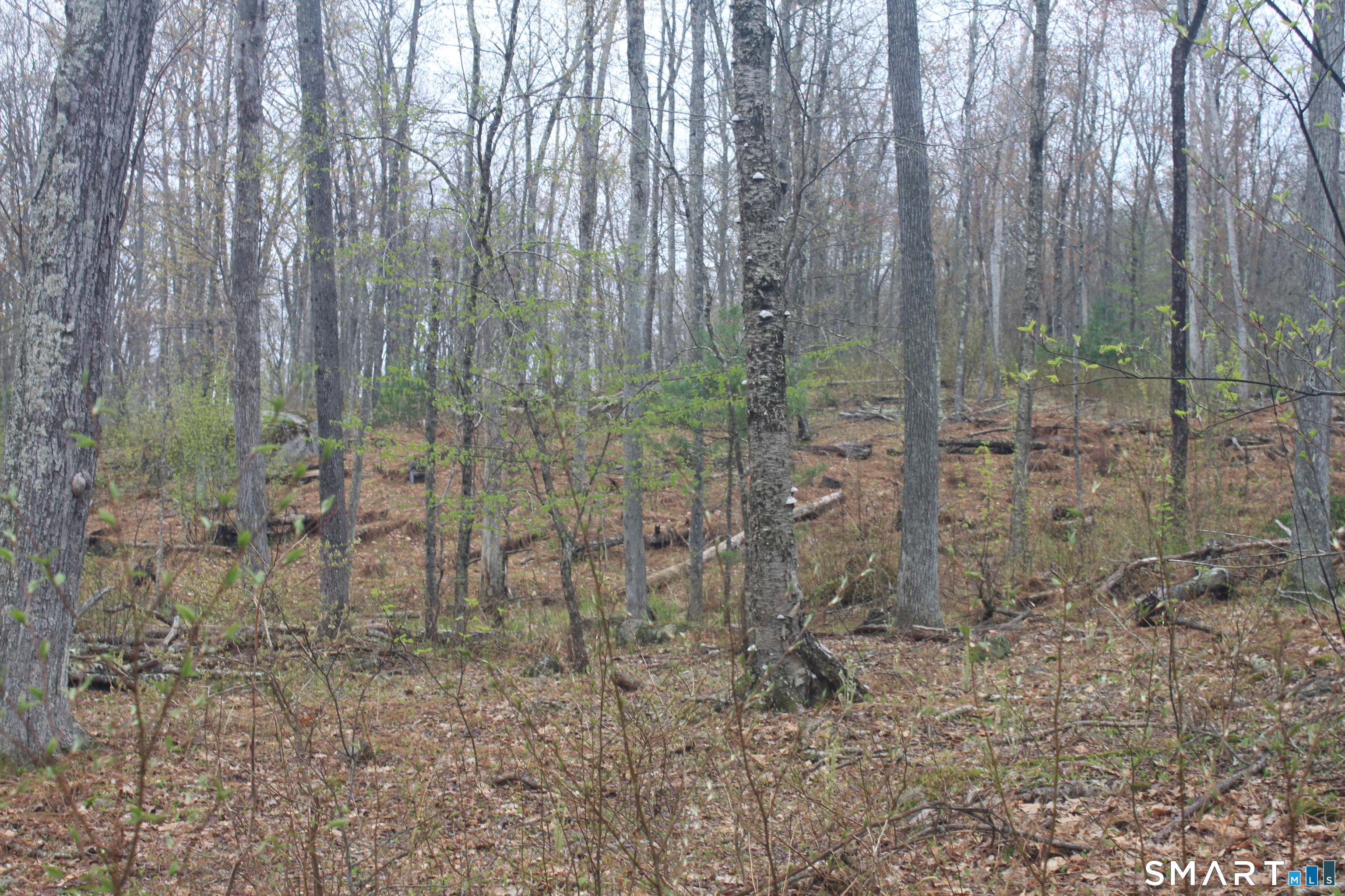 Nepaug Road Burlington, CT 06013 - Photo 7 of 17