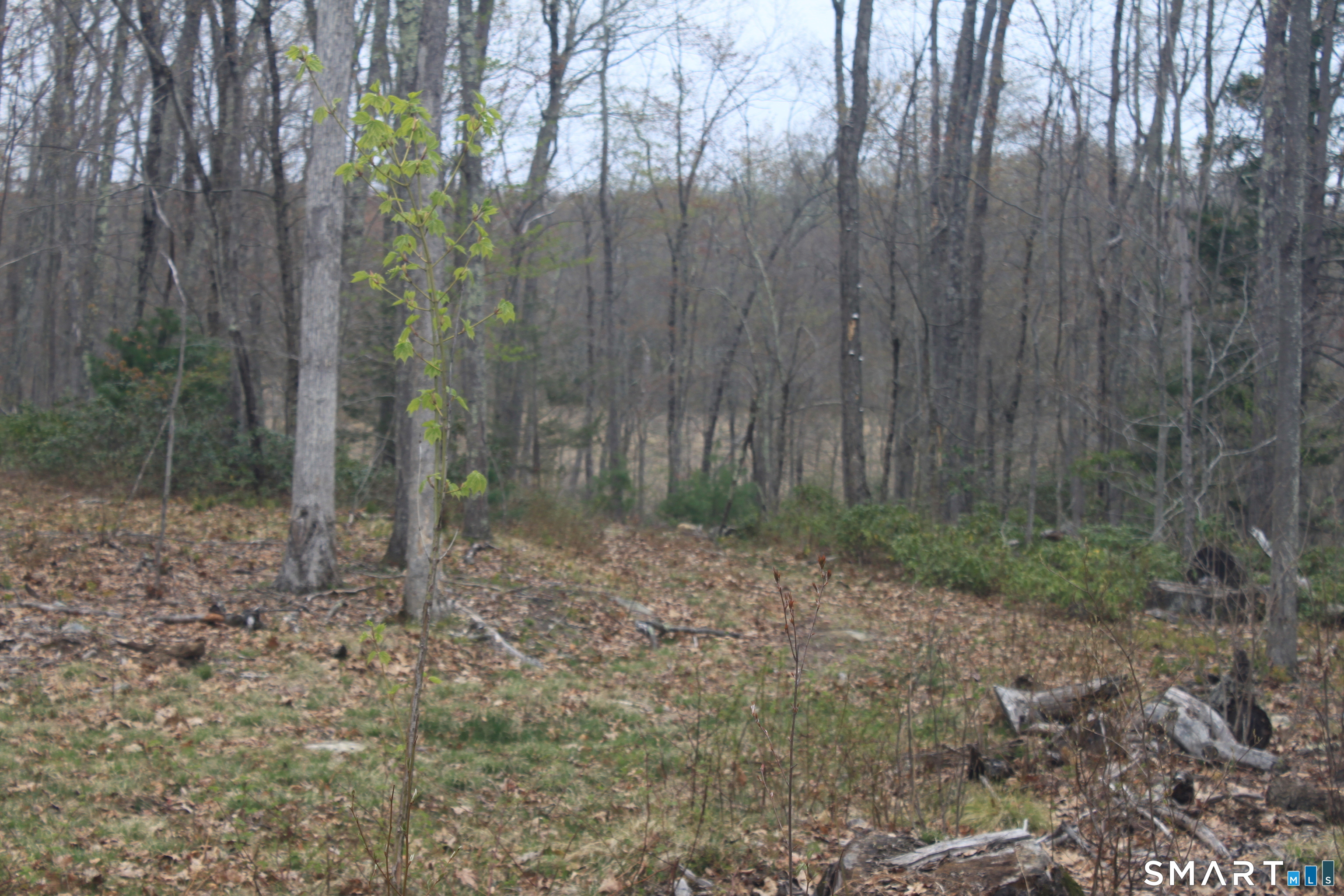 Nepaug Road Burlington, CT 06013 - Photo 8 of 17