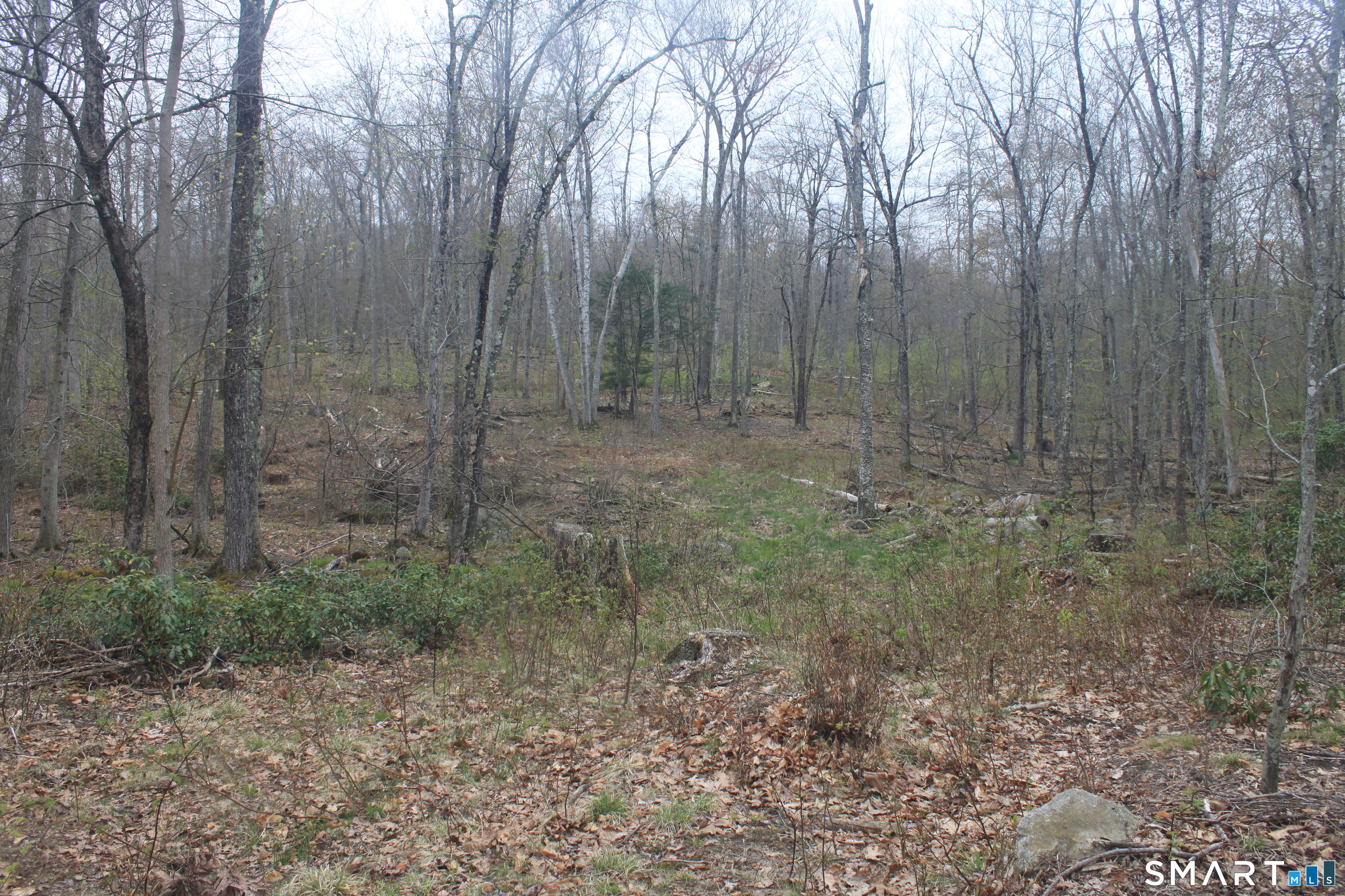 Nepaug Road Burlington, CT 06013 - Photo 9 of 17