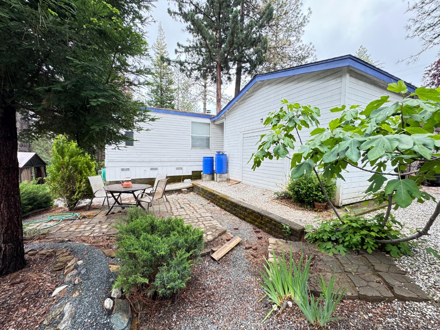 593 West Dundee Court Applegate, CA 95703 - Photo 39 of 42