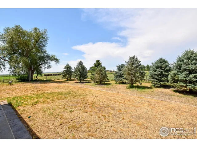 a view of outdoor space with swimming pool and trees