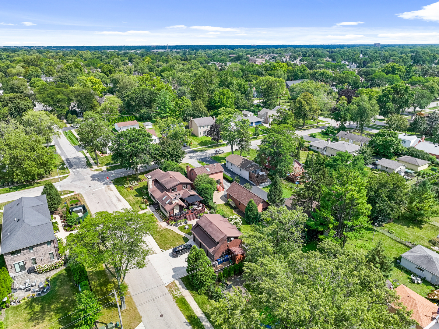 424 Willow Street Itasca, IL 60143 - Photo 39 of 47 an aerial view of residential houses with outdoor space and trees