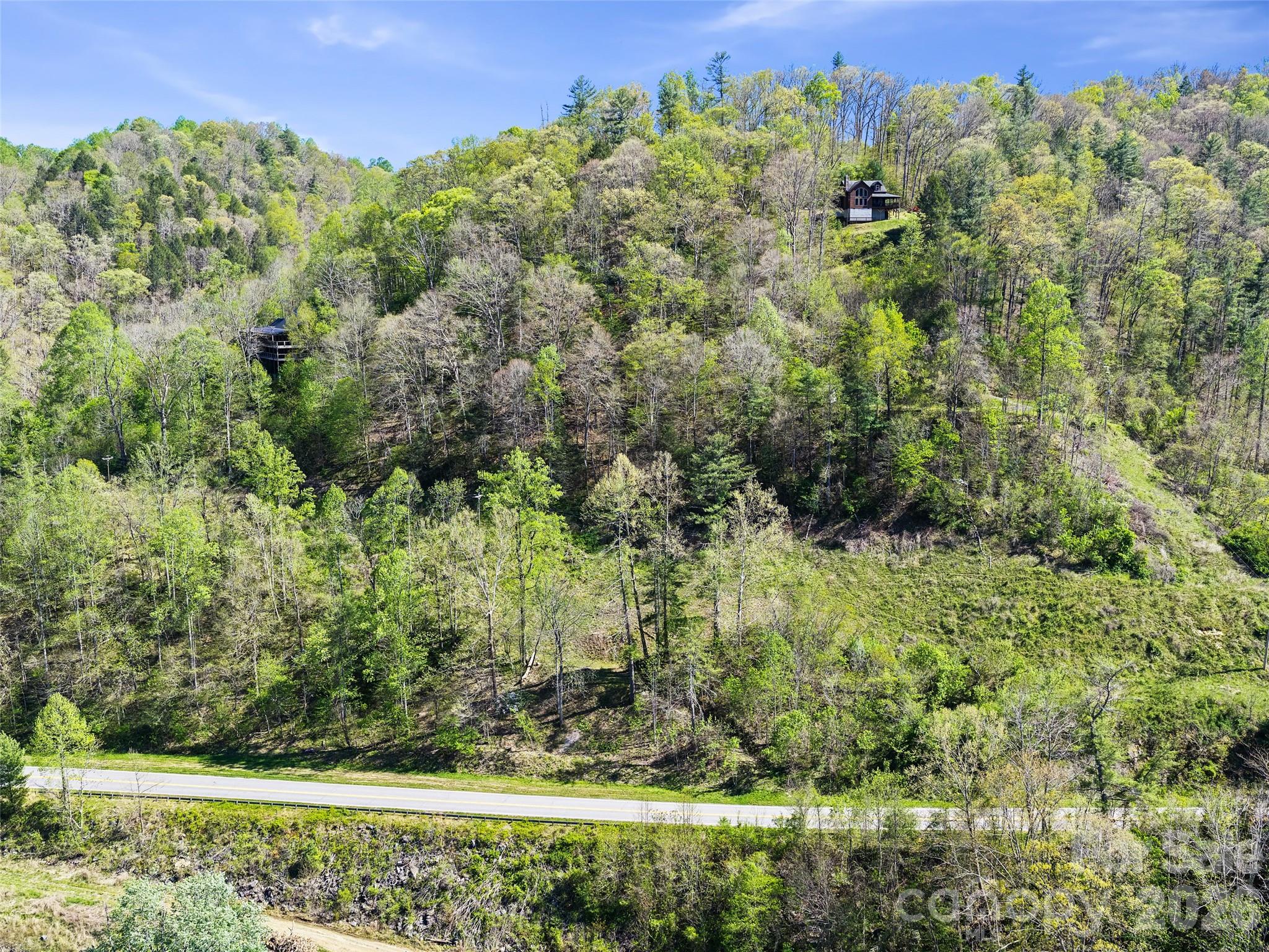 0 Little Pine Road Marshall, NC 28753 - Photo 11 of 19