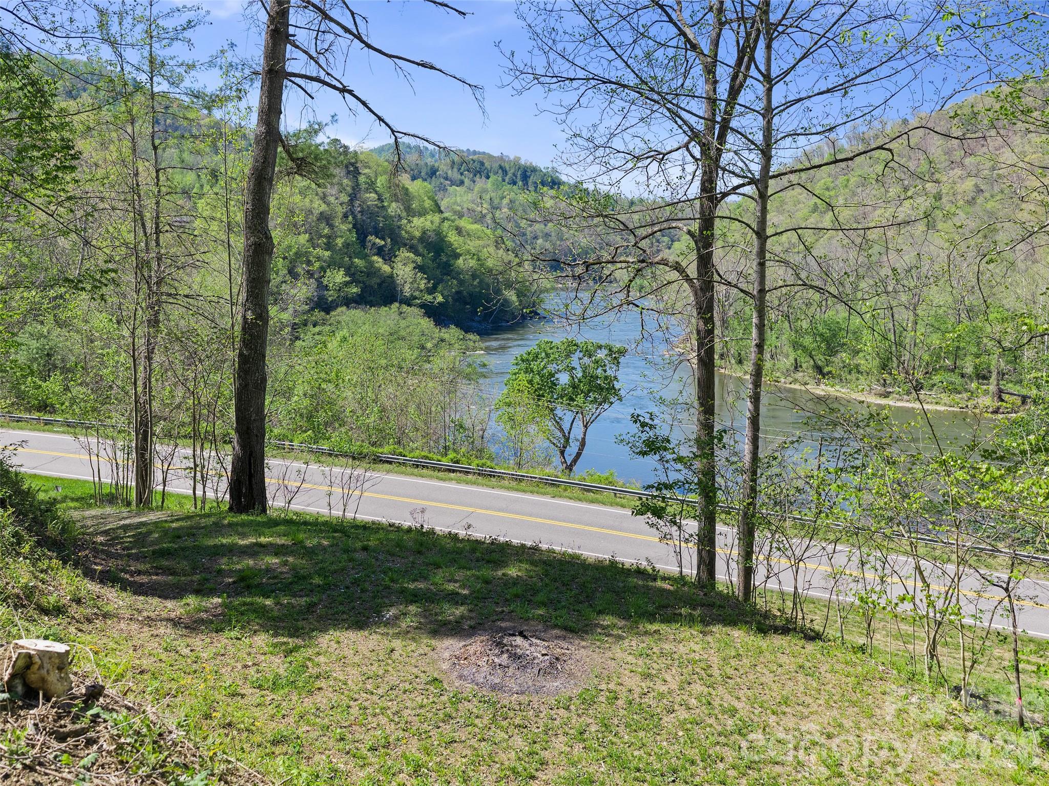 0 Little Pine Road Marshall, NC 28753 - Photo 3 of 19