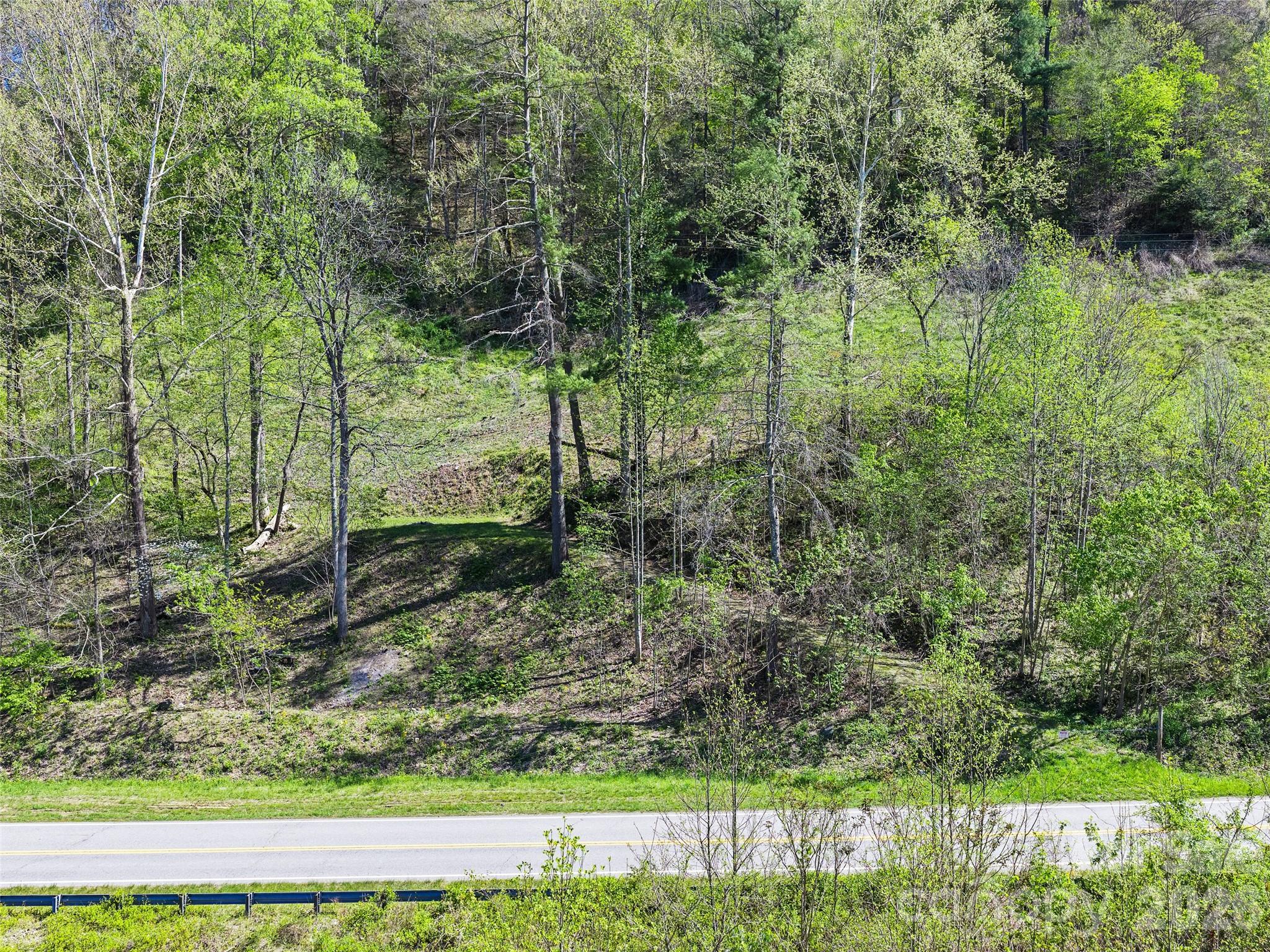 0 Little Pine Road Marshall, NC 28753 - Photo 7 of 19