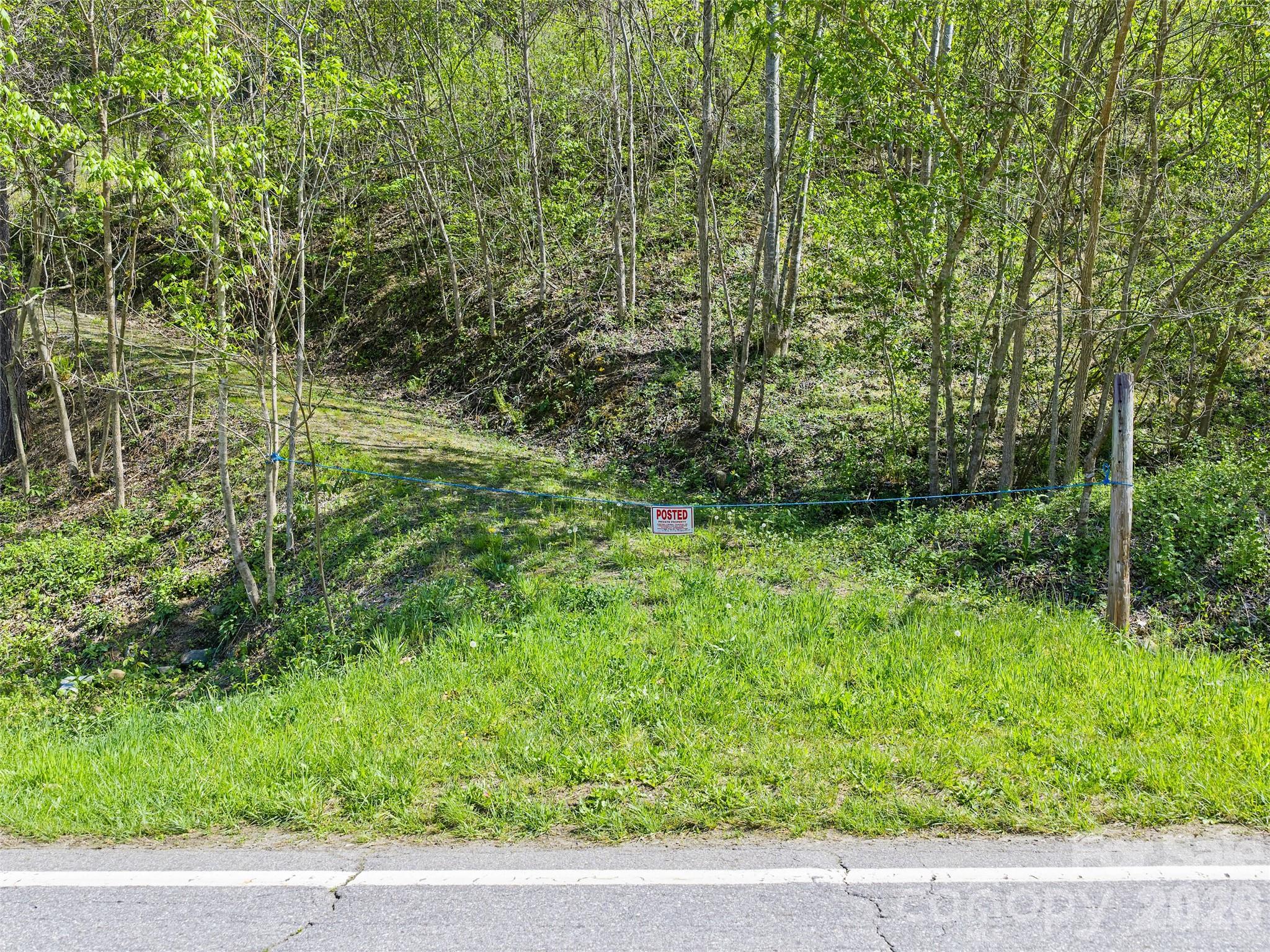 0 Little Pine Road Marshall, NC 28753 - Photo 9 of 19