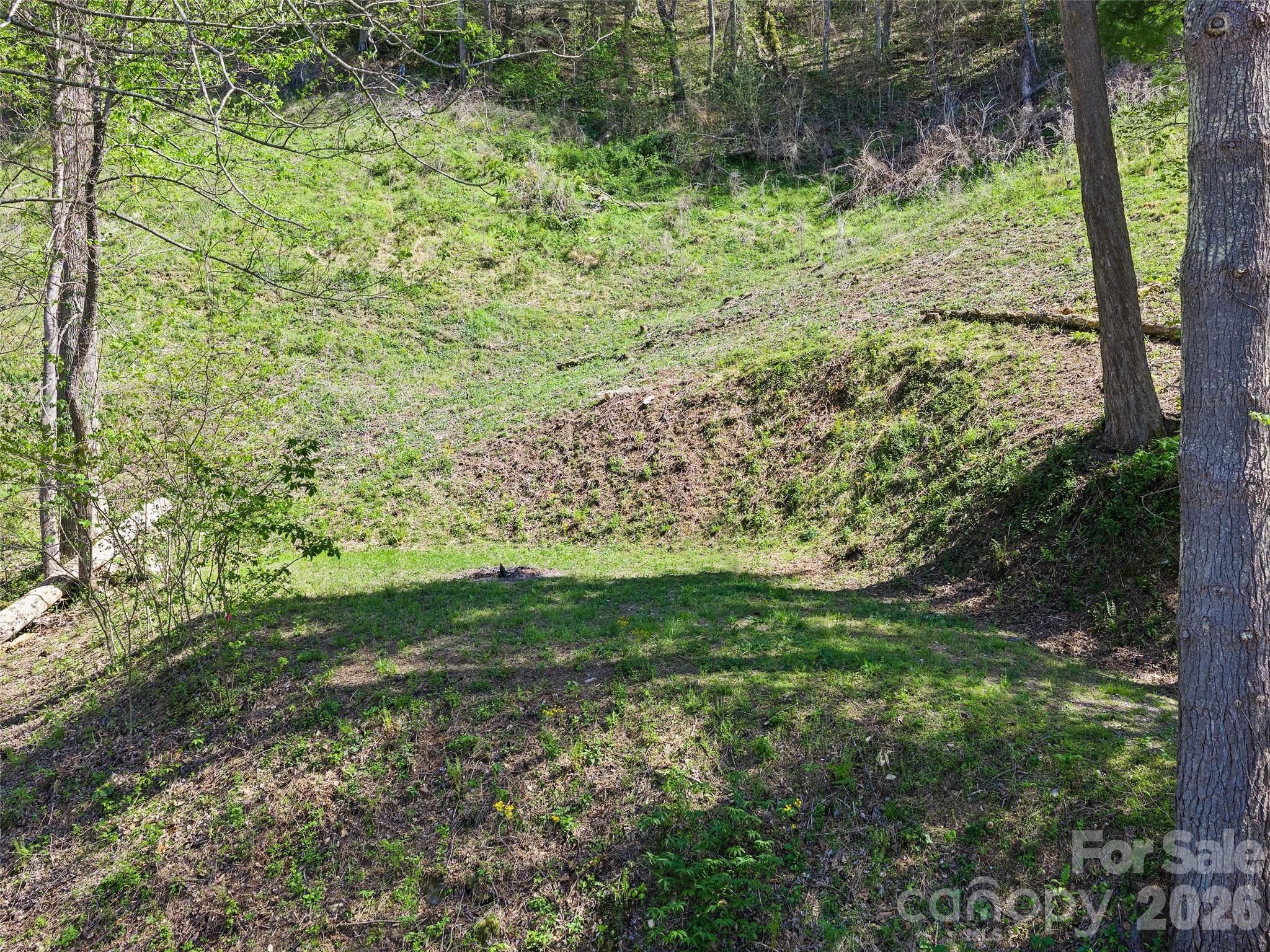 0 Little Pine Road Marshall, NC 28753 - Photo 10 of 19