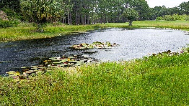 Lot 4 Country Club Road Port St. Joe, FL 32456 - Photo 11 of 13