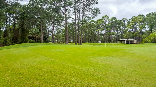 Lot 4 Country Club Road Port St. Joe, FL 32456 - Photo 12 of 13