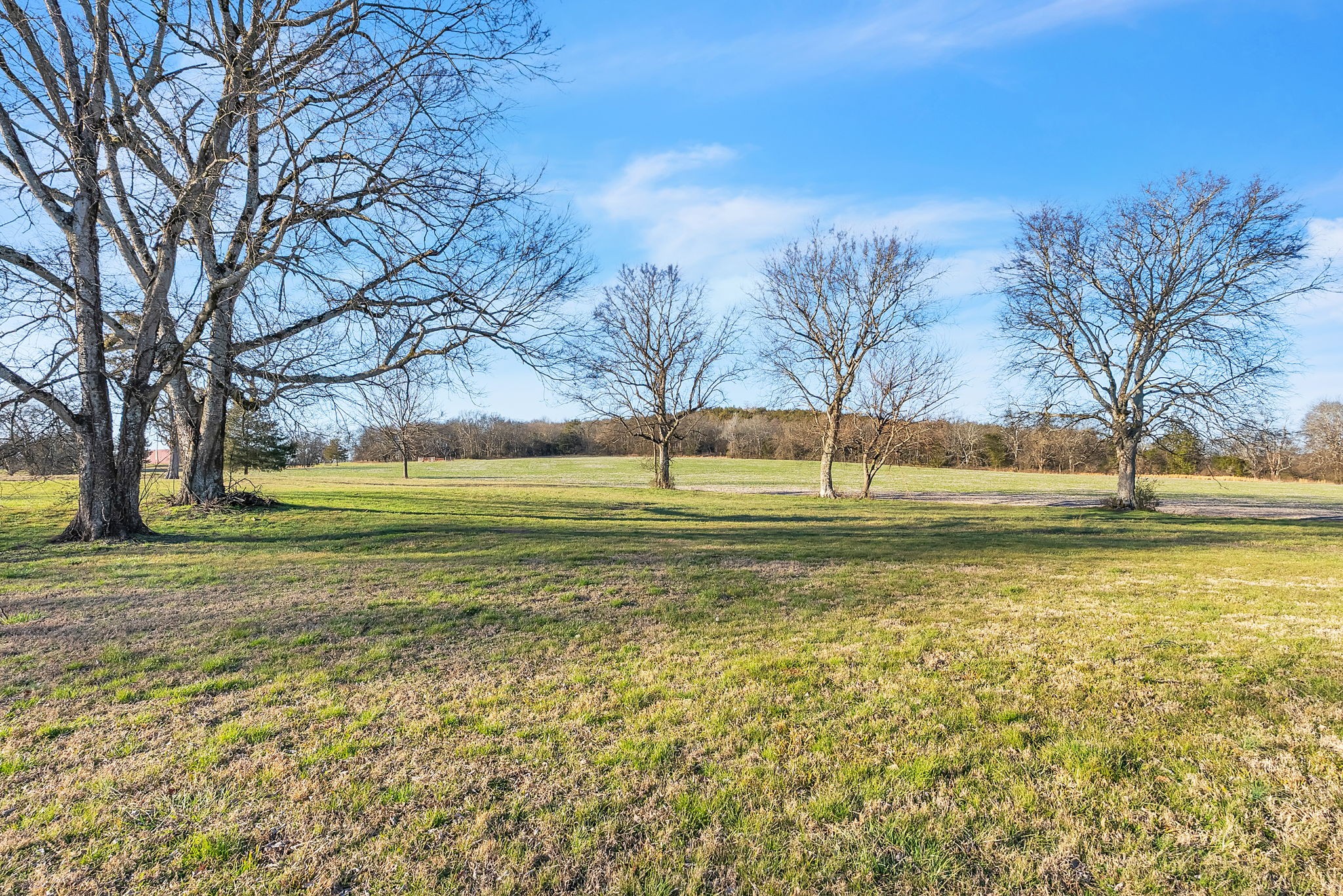 3138 Richmond Road Petersburg, TN 37144 - Photo 33 of 41
