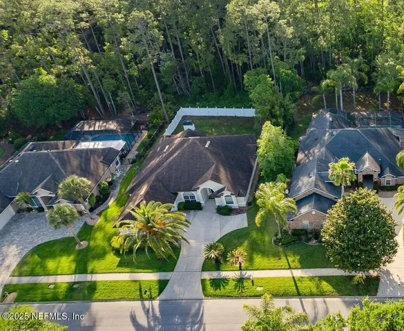 a view of a garden with plants and flowers
