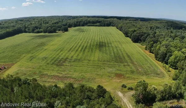 $64,000 | B Leckrone Road, Brethren, MI 49619