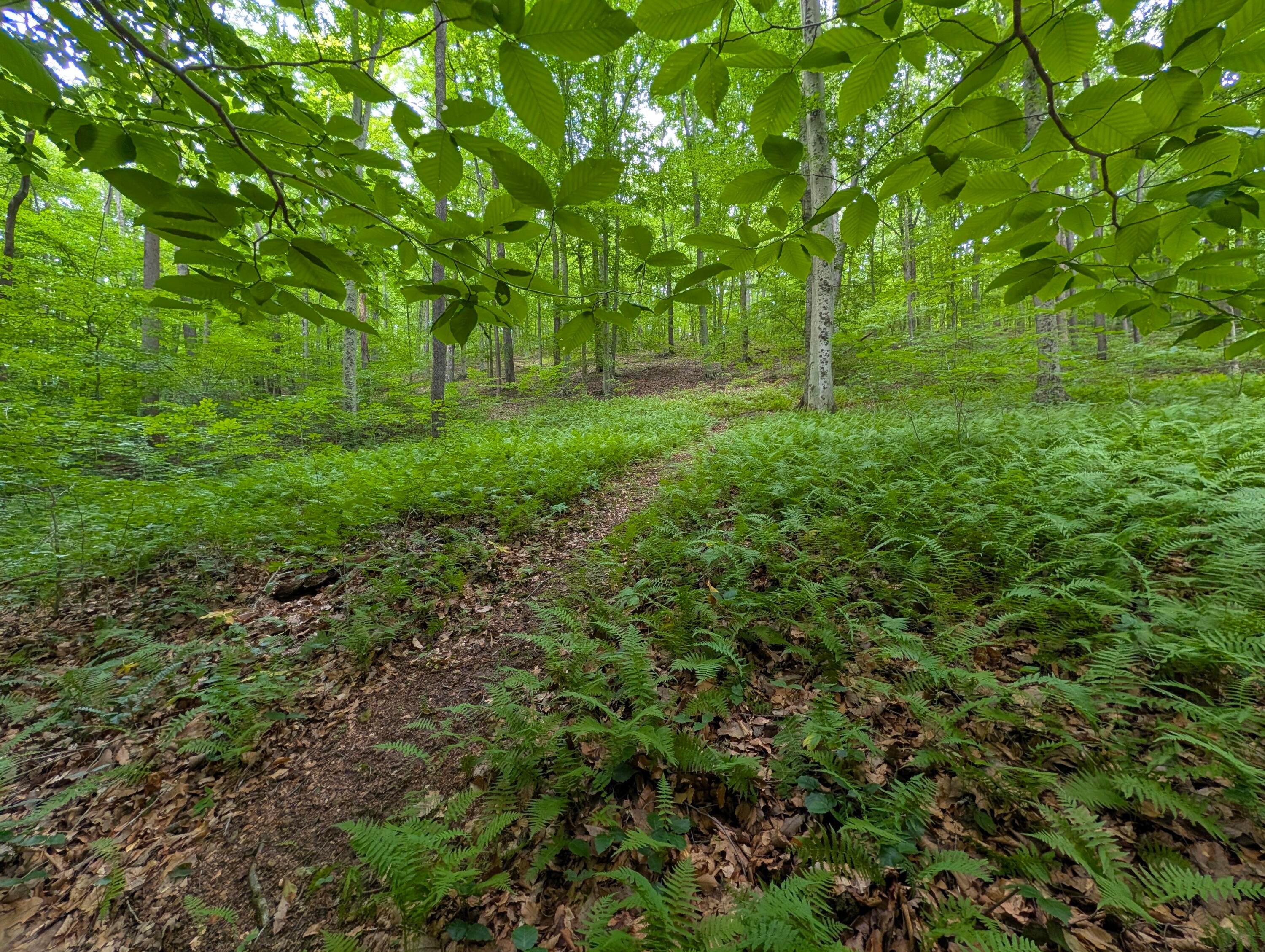 19479 Bogg Road Laurelville, OH 43135 - Photo 51 of 54 19479 Bogg Rd, Hocking Hills