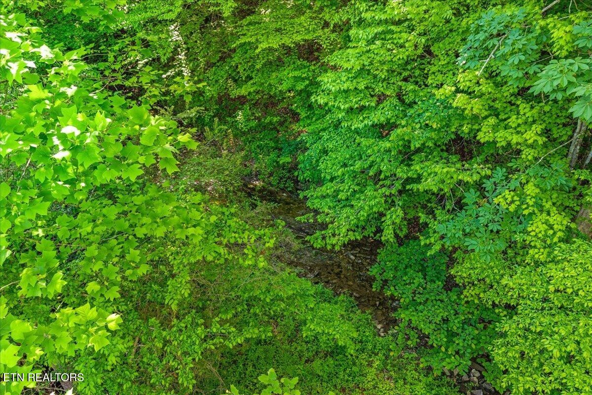 0 Shaddon Road Tellico Plains, TN 37385 - Photo 7 of 17 a view of a lush green space