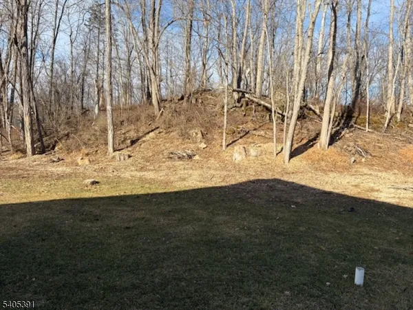 a view of a yard covered in snow