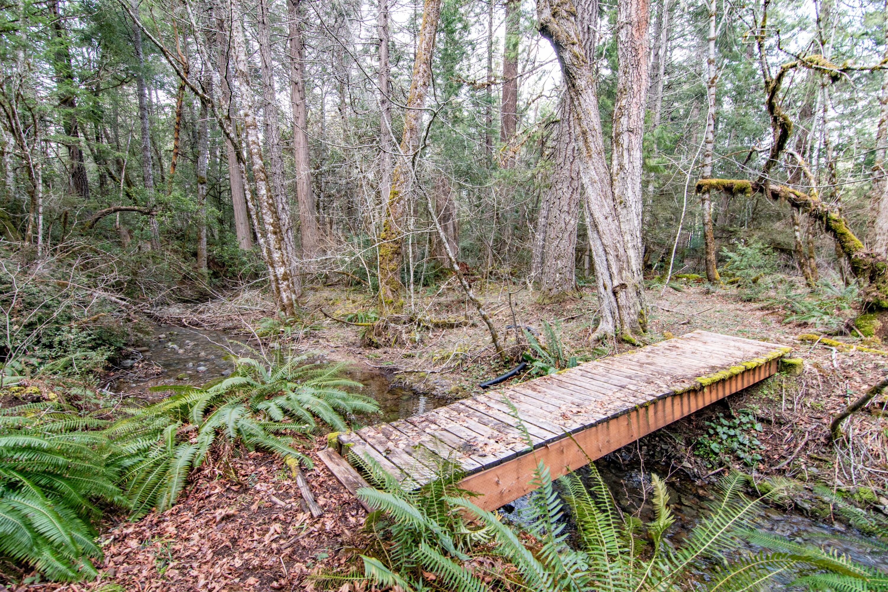 4366 Thompson Creek Road Selma, OR 97538 - Photo 6 of 36 Thompson Crk-44