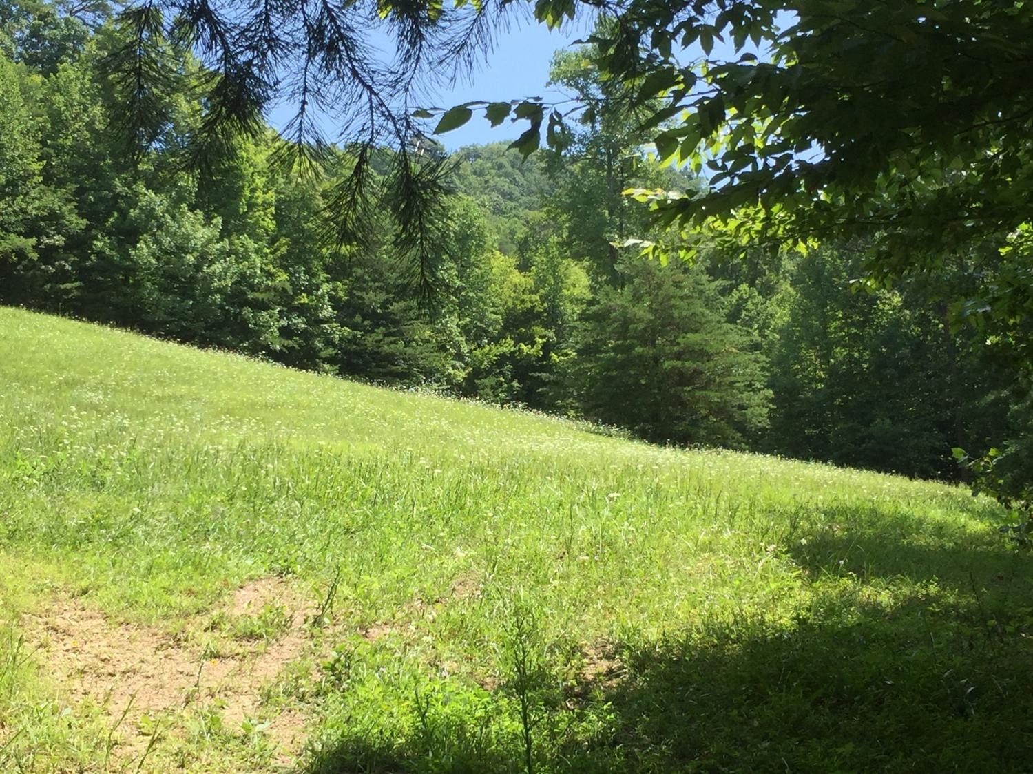 1910 Caudill Road Stanton, KY 40380 - Photo 15 of 50 Photo 15