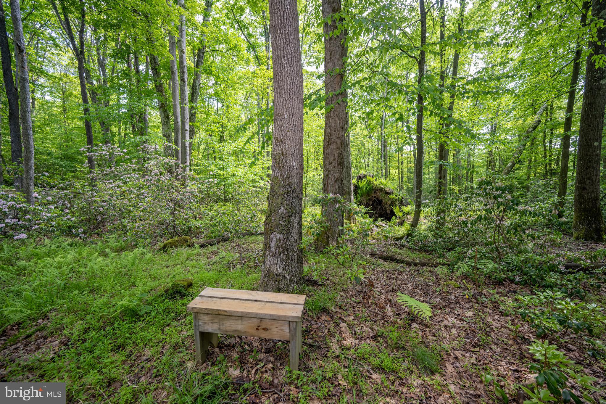 328 Stool Rock Road Oakland, MD 21550 - Photo 101 of 133