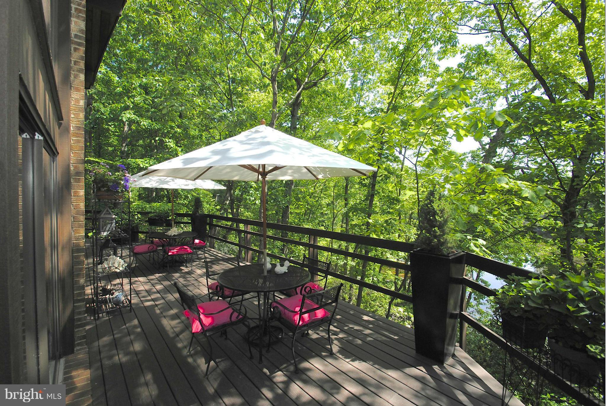 139 Wallace Manor Road Edgewater, MD 21037 - Photo 8 of 30 Decks overlook wooded splendor