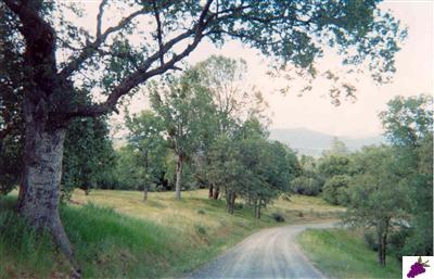 4877 Ashworth Road Mariposa, CA 95338 - Photo 8 of 14 Gallery Image 8