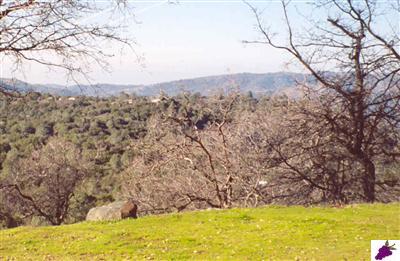 4877 Ashworth Road Mariposa, CA 95338 - Photo 9 of 14 Gallery Image 9