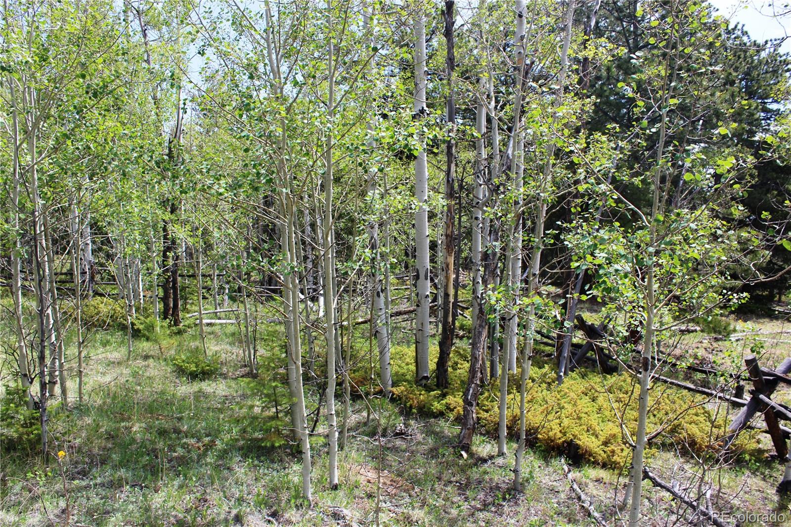 0 Quartz Hill Road Central City, CO 80427 - Photo 14 of 30