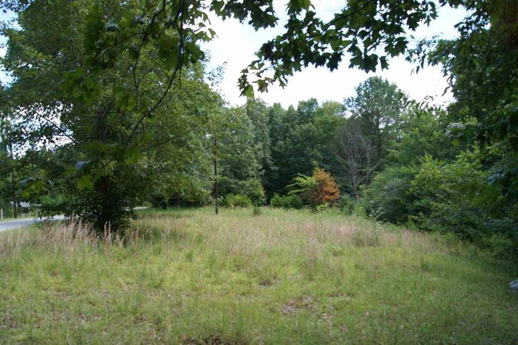 518 Lesters Chapel Road Jackson, TN 38301 - Photo 1 of 1 Photo 1