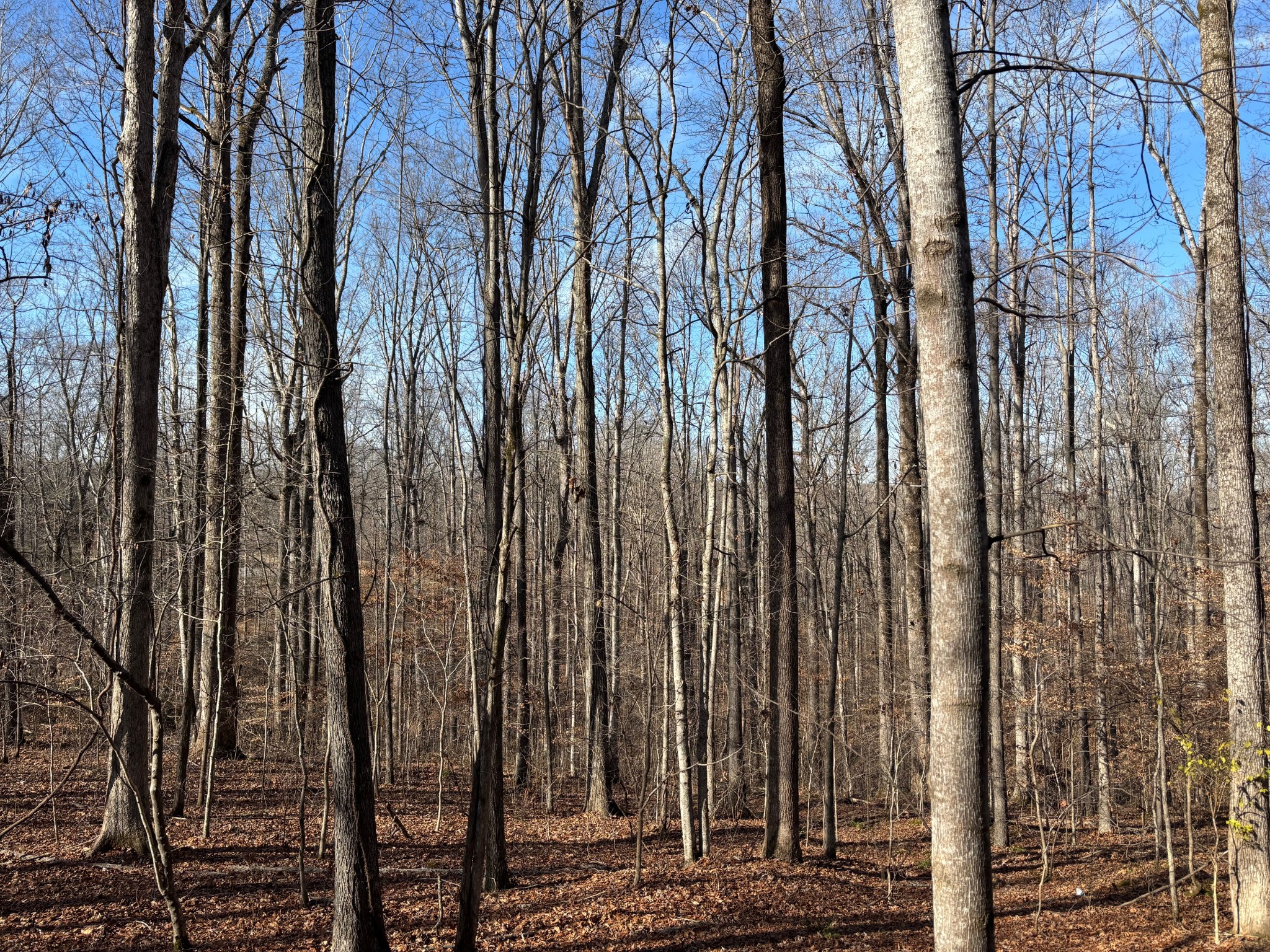 1051 Deer Ridge Road Kingston Springs, TN 37082 - Photo 42 of 44