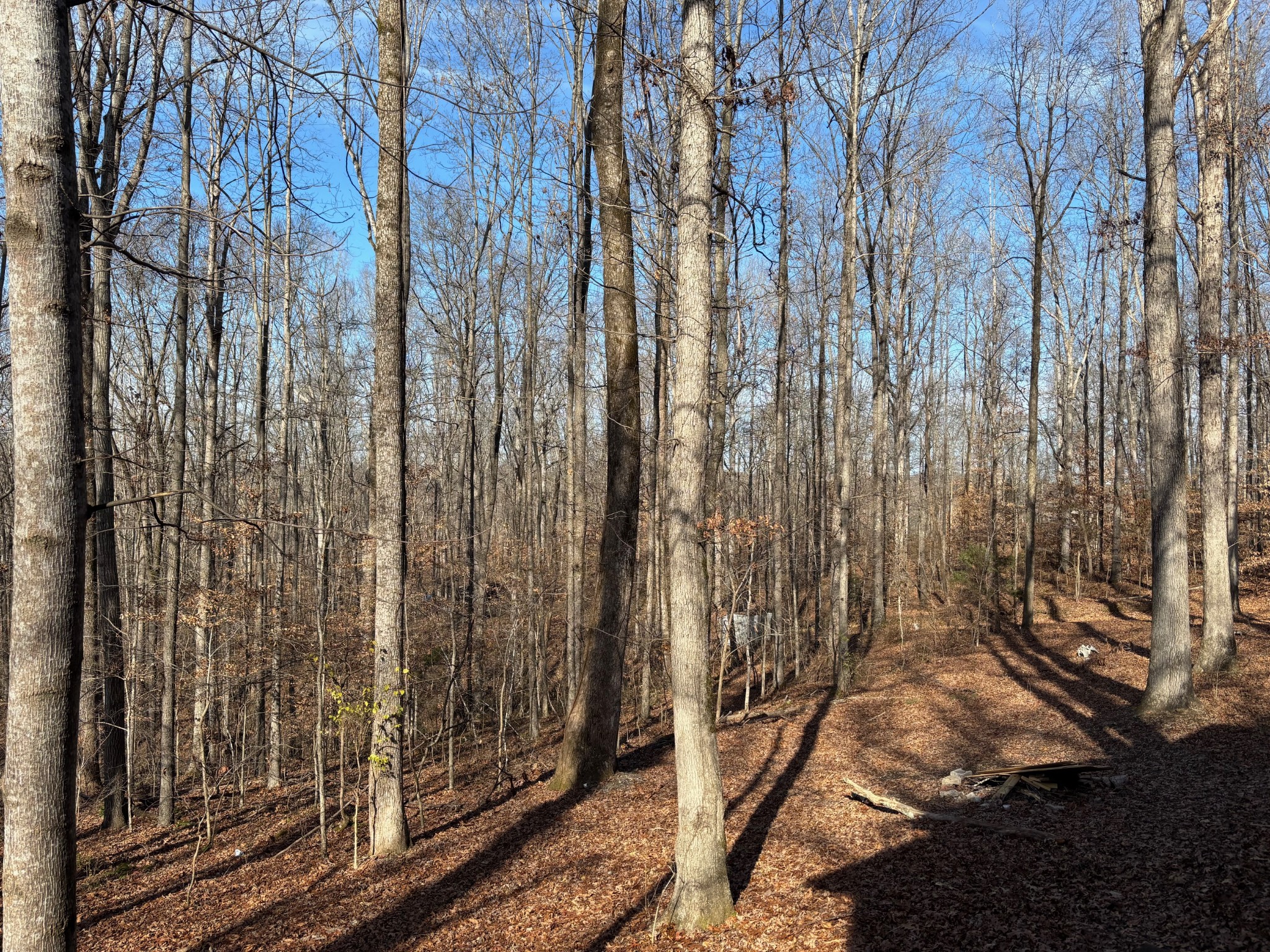 1051 Deer Ridge Road Kingston Springs, TN 37082 - Photo 43 of 44