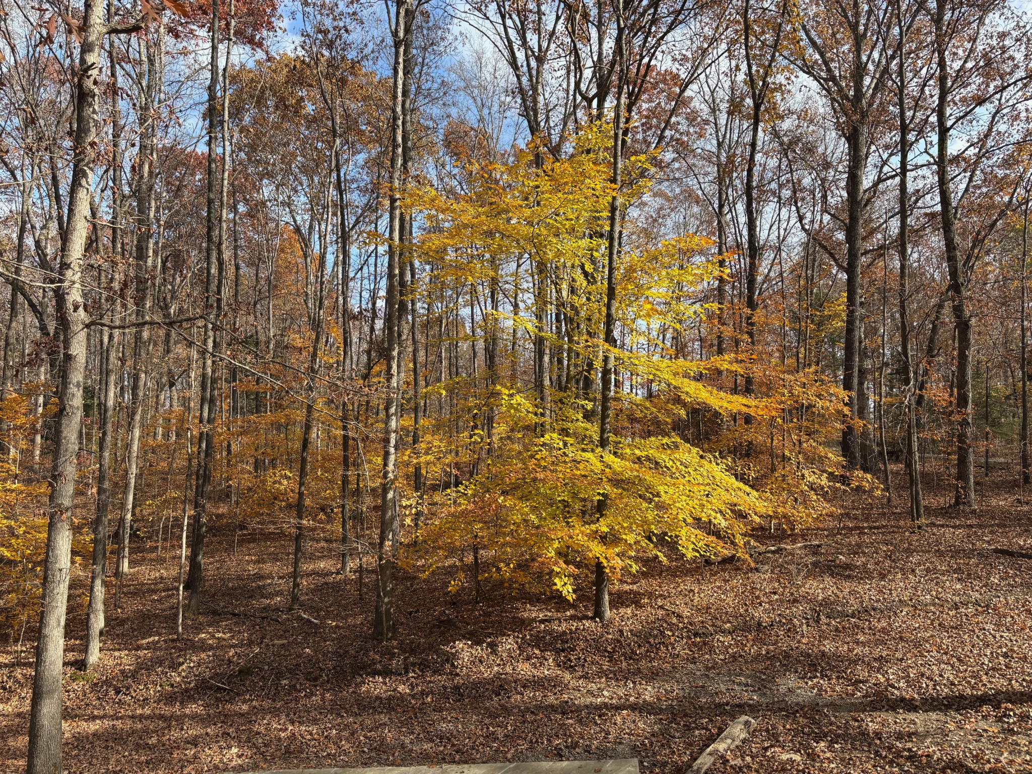 1051 Deer Ridge Road Kingston Springs, TN 37082 - Photo 44 of 44