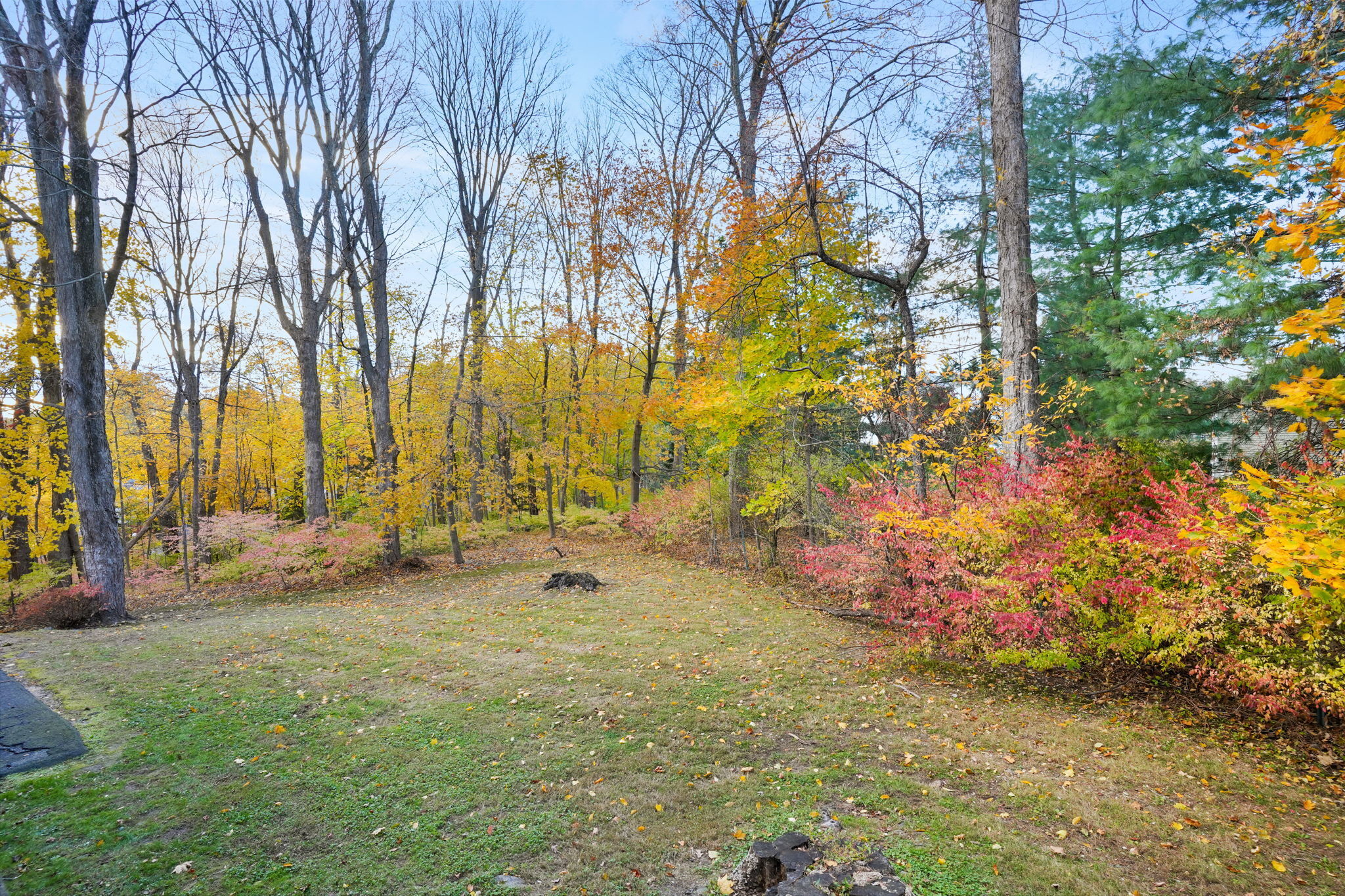 8 Quarry Corner, Unit 8 Ridgefield, CT 06877 - Photo 2 of 28 a view of backyard with large trees
