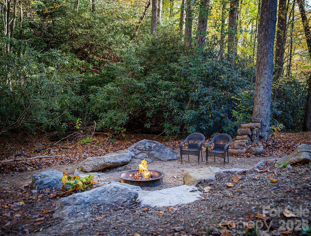 808 Mountain Cove Road Hendersonville, NC 28792 - Photo 26 of 33