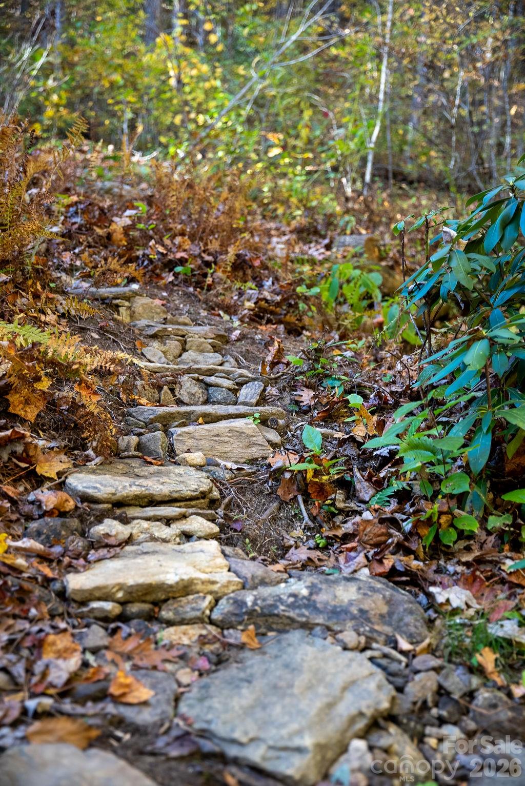 808 Mountain Cove Road Hendersonville, NC 28792 - Photo 28 of 33