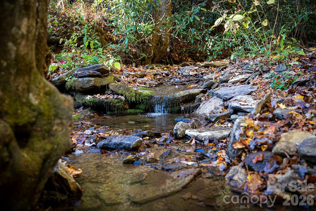 808 Mountain Cove Road Hendersonville, NC 28792 - Photo 29 of 33