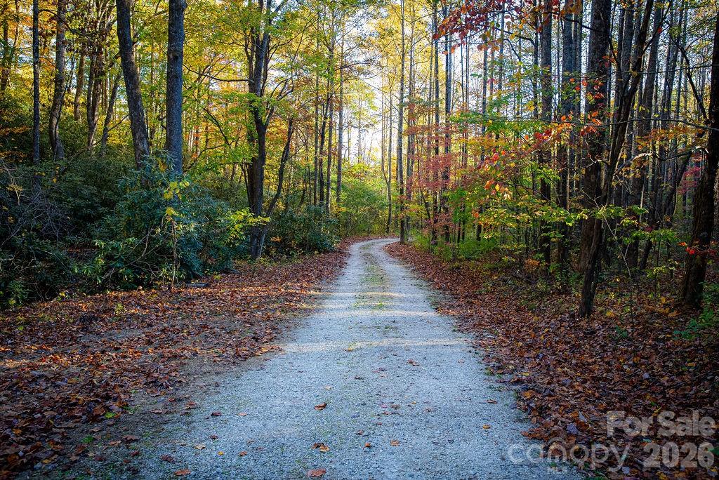 808 Mountain Cove Road Hendersonville, NC 28792 - Photo 32 of 33