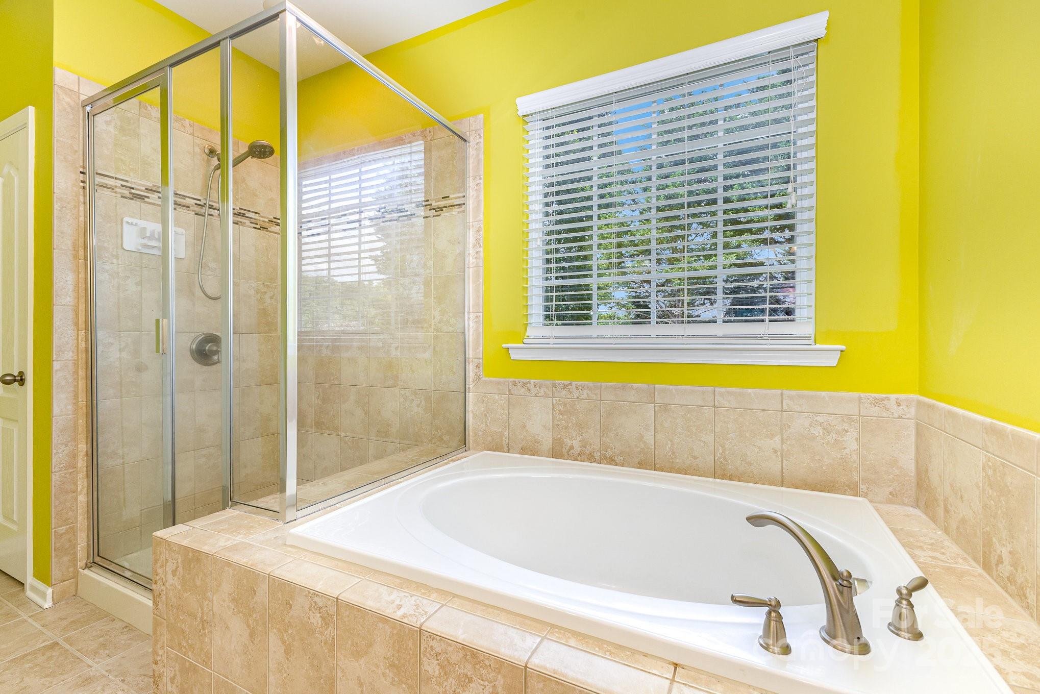 10105 Community House Road Charlotte, NC 28277 - Photo 18 of 40 Gallery Image 18