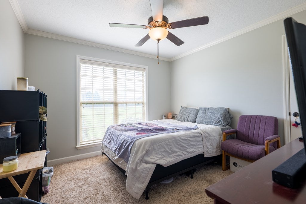 572 Boyette Road Lakeland, GA 31635 - Photo 18 of 29 Gallery Image 18