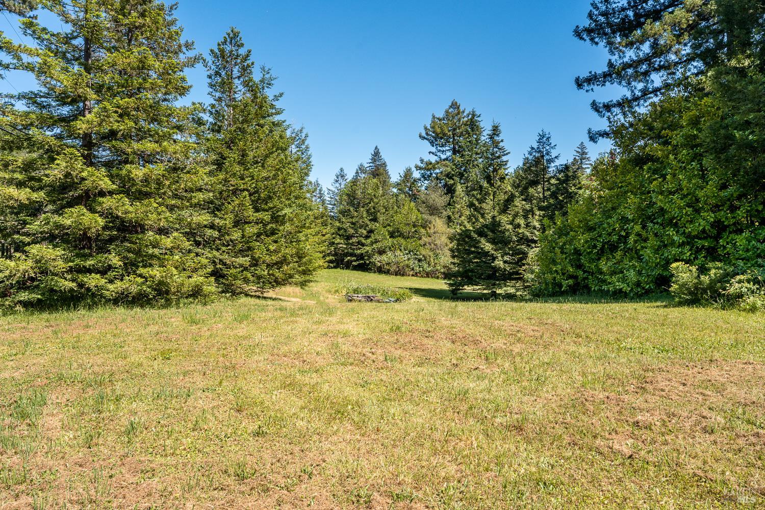 31501 Comptche Ukiah Road Comptche, CA 95427 - Photo 50 of 85 Meadow