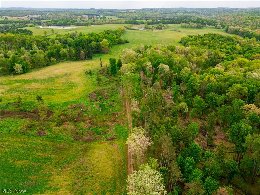 Emerick Road Summitville, OH 43962 - Photo 25 of 47