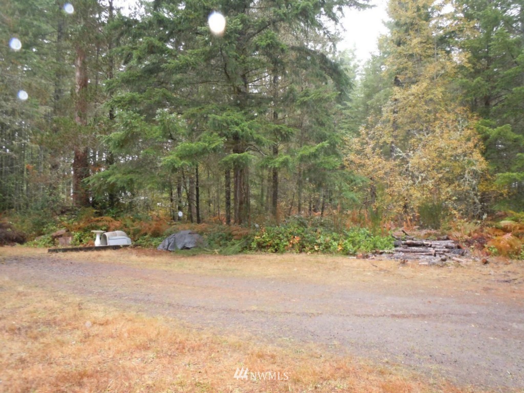 341 Northeast Pine Camp Road Belfair, WA 98528 - Photo 14 of 15 Gallery Image 14