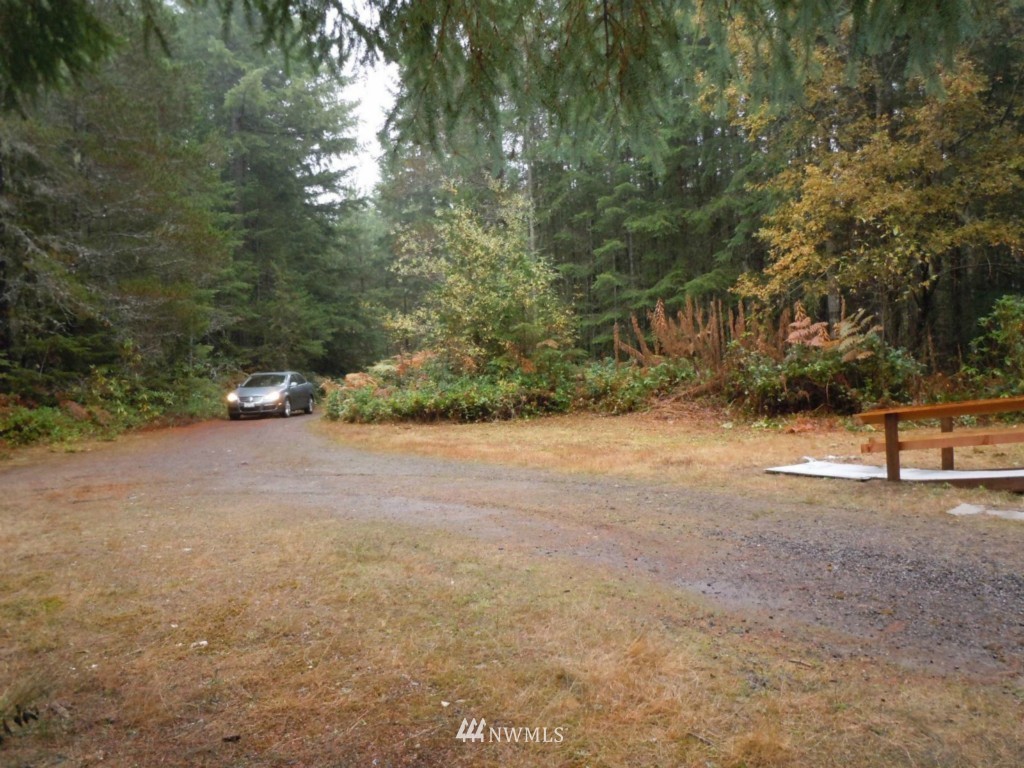341 Northeast Pine Camp Road Belfair, WA 98528 - Photo 15 of 15 Gallery Image 15