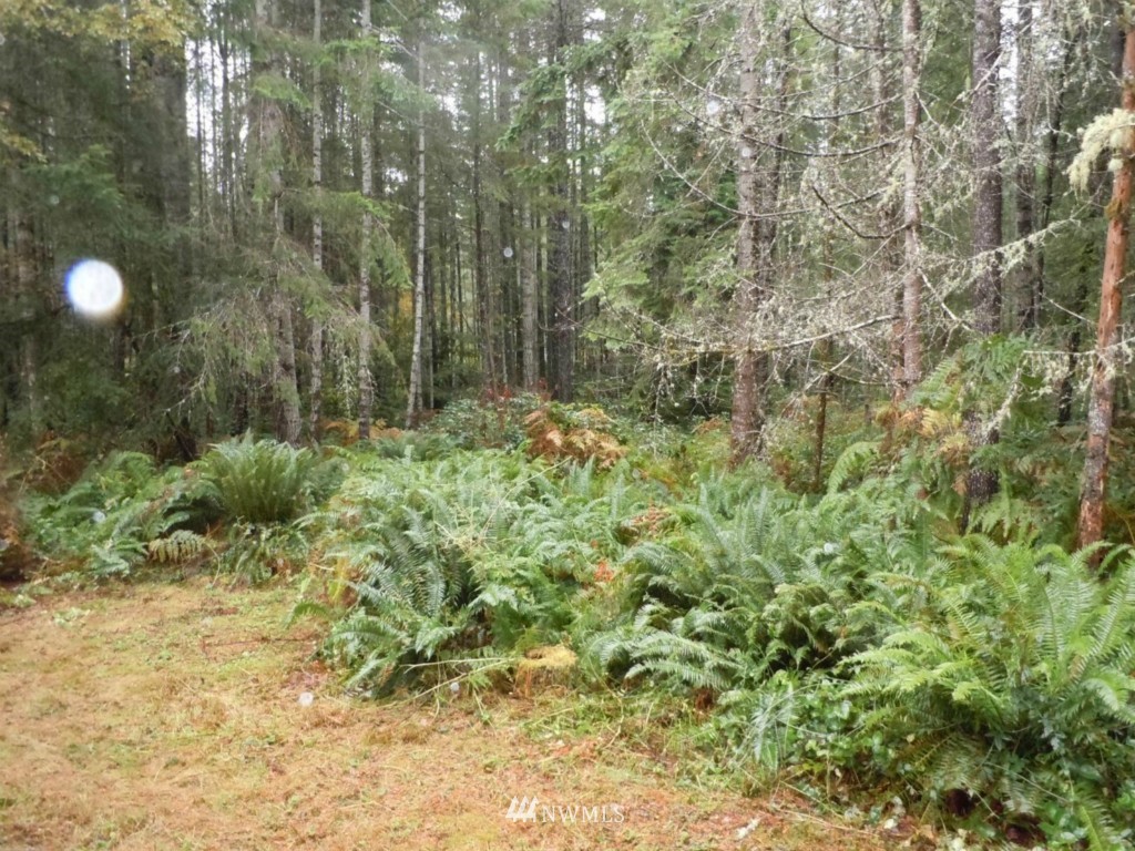 341 Northeast Pine Camp Road Belfair, WA 98528 - Photo 7 of 15 Gallery Image 7