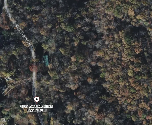 a view of a yard from a window