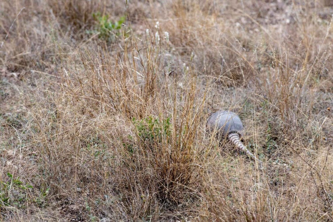 58 L Leona Ranch Road Brackettville, TX 78832 - Photo 11 of 12 a backyard of a house
