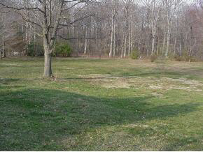 Tbd Jarmans Gap Road Waynesboro, VA 22980 - Photo 4 of 4 Gallery Image 4